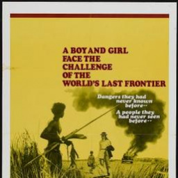 Movies to Watch If You Like Walkabout (1971)